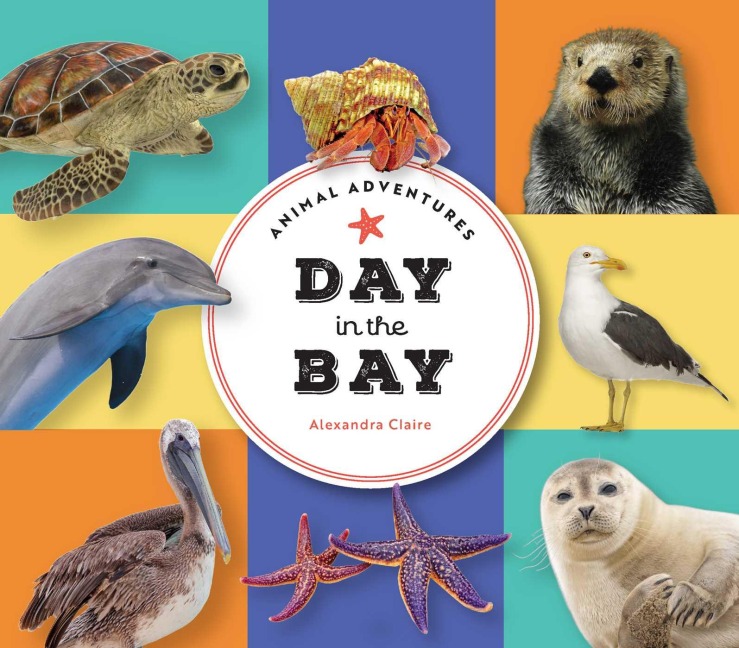 Animal Adventures: Day in the Bay