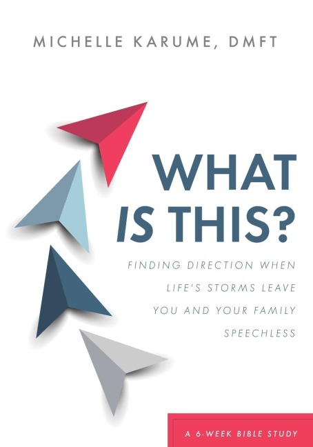 What Is This?: Finding Direction When Lifes Storms Leave You and Your Family Speechless
