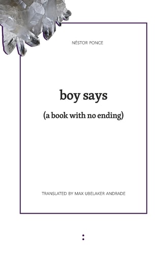 Boy Says (a Book with No Ending)