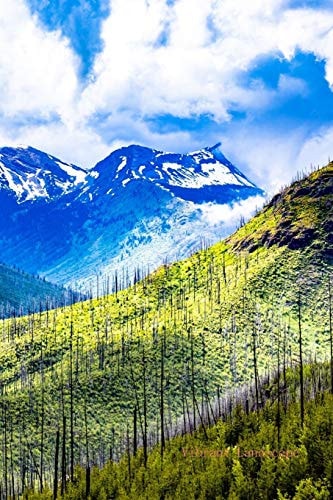 Vibrant Landscape