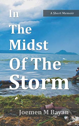 In The Midst Of The Storm