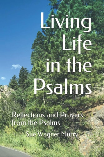 Living Life in the Psalms Reflections and Prayers from the Psalms