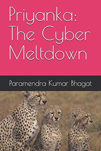 Priyanka The Cyber Meltdown