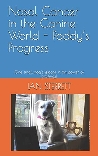Nasal Cancer in the Canine World - Paddy's Progress One Small Dog's Lessons in the Power of Positivity!