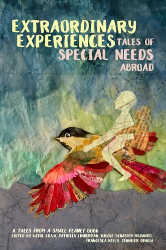 Extraordinary Experiences Tales of Special Needs Abroad: a Tales from a Small Planet Book