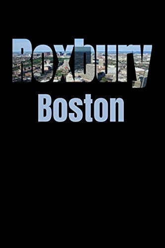 Roxbury Boston Neighborhood Skyline