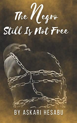 The Negro Still Is Not Free