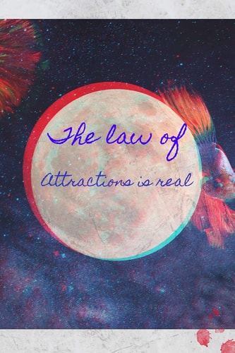 The Law of Attraction Is Real Start Your Day with a Quick Dose of Gratitude