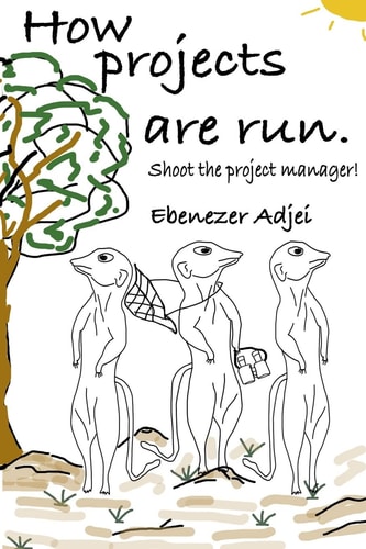 How Projects Are Run Shoot the Project Manager!