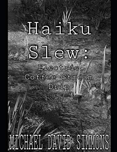 Haiku Slew Electric Coffee Stream Drip