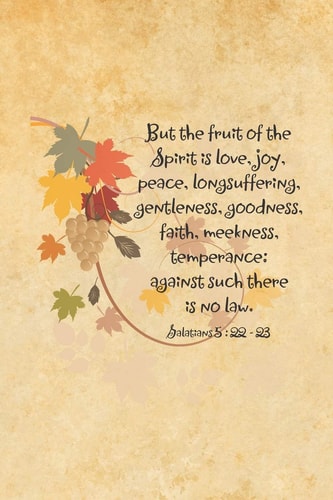 But the Fruit of the Spirit Is Love, Joy, Peace, Longsuffering, Gentleness, Goodness, Faith, Meekness, Temperance Against Such There Is No Law. --Galatians 5:22-23