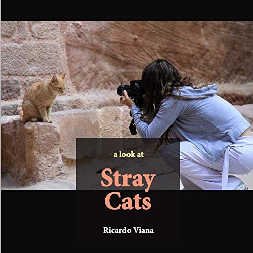 Stray Cats A Look At