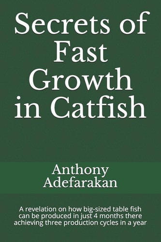 Secrets of Fast Growth in Catfish A Revelation on How Big-Sized Table Fish Can Be Produced in Just 4 Months Thereby Achieving Three Production Cycles in a Year