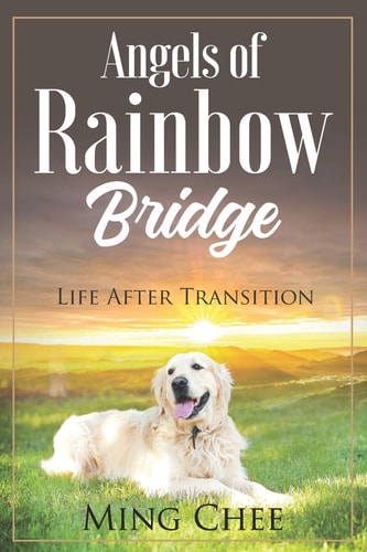 Angels Of Rainbow Bridge Life After Transition