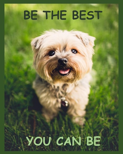 Be the Best You Can Be With Sayings To Inspire At The Top Of Each Page