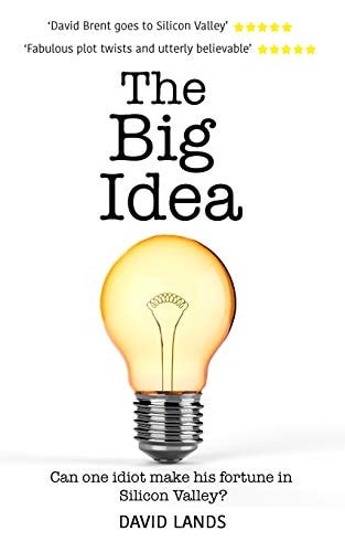 The Big Idea Can One Idiot Make His Fortune in Silicon Valley?
