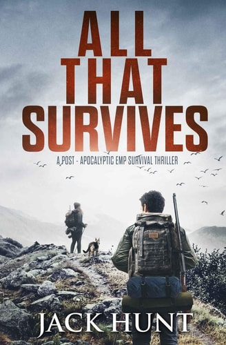 All That Survives A Post-Apocalyptic EMP Survival Thriller