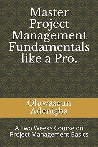 Master Project Management Fundamentals Like a Pro. A Two Weeks Course on Project Management Basics