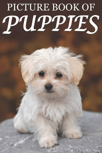 Picture Book of Puppies Picture Book of Puppies: For Seniors with Dementia [Cute Picture Books]