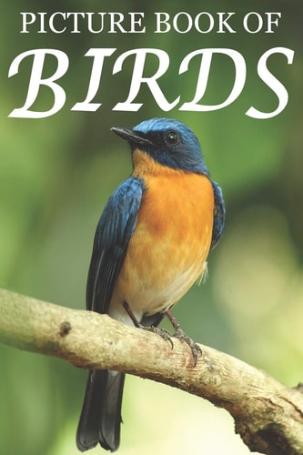 Picture Book of Birds For Seniors with Dementia [Colorful Picture Books]