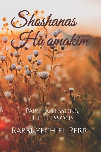 Shoshanas Ha'amakim Parsha Lessons, Life Lessons