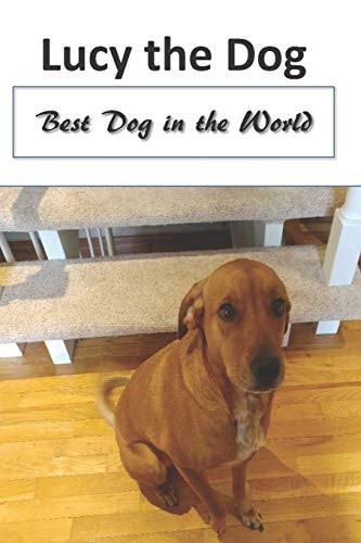 Lucy The Dog