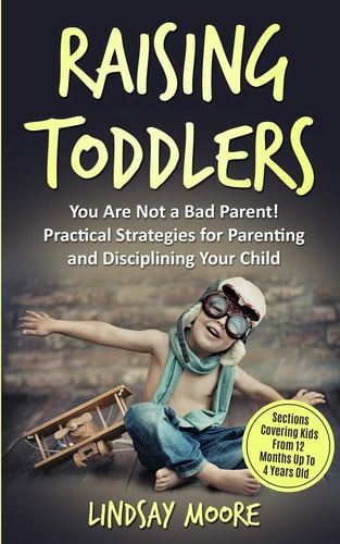 Raising Toddlers You Are Not a Bad Parent! Practical Strategies for Parenting and Disciplining Your Child
