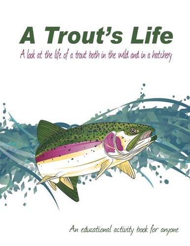 A Trout's Life A Look at the Life of a Trout Both in the Wild and in a Hatchery