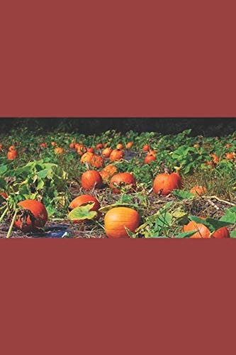 The Misadventures of Ggg and the Pumpkin-Headed Boy Tales from "Die Nachtseriesammlung"