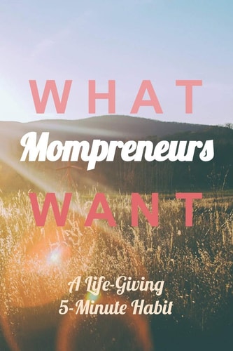 What Mompreneurs Want A Life-Giving 5-Minute Habit (Sunny Field Medium)