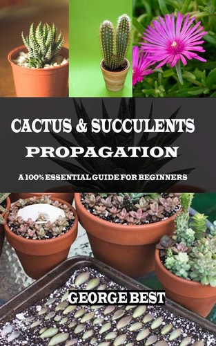 Cactus & Succulents Propagation A 100% Essential Guide for Beginners