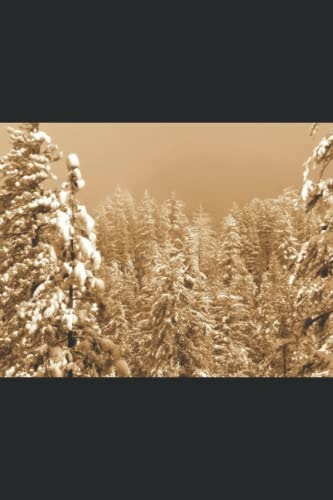 Reflection A Collection of Literary Works and Essays