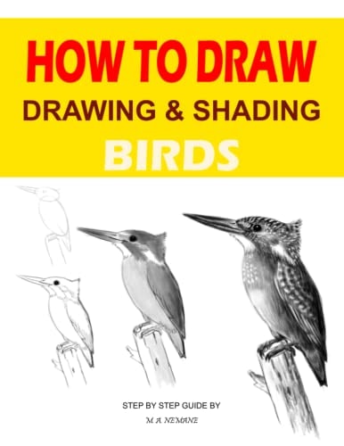 Drawing and Shading Birds How to Draw