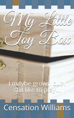 My Little Toy Box I Maybe Grown But I Still Like to Play...