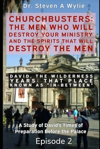 David The Wilderness Years (That Place Known as "In-Between") - A Study of David's Times of Preparation Before the Palace