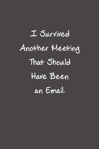 I Survived Another Meeting That Should Have Been An Email Funny Office Gifts For Coworker