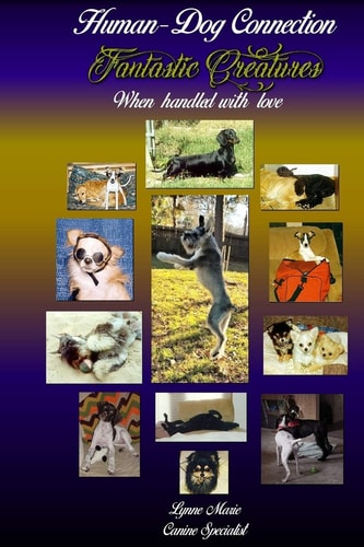 Fantastic Creatures When Handled with Love