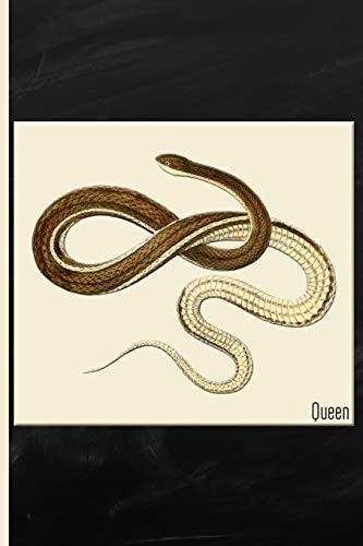 Snake Queen Watercolor: 6x9 College Ruled Notebook