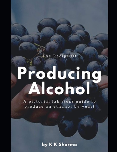 The Recipe Of Producing Alcohol A Pictorial Lab Steps Guide