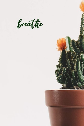 Breathe 100-Page Christian Mental Health Wellness Tracker with Selected Psalms and Photo of Blooming Cactus