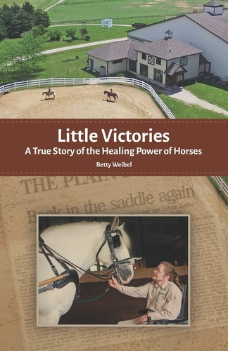 Little Victories A True Story of the Healing Power of Horses