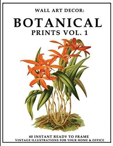 Wall Art Decor Botanical Prints Vol. 1: 40 Instant Ready to Frame Colorful Plant Illustration Art Prints for Your Home & Office Decor