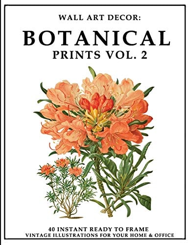 Wall Art Decor Botanical Prints Vol. 2: 40 Instant Ready to Frame Colorful Botanical Illustration Art Prints for Your Home & Office Decor