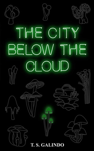 The City Below the Cloud