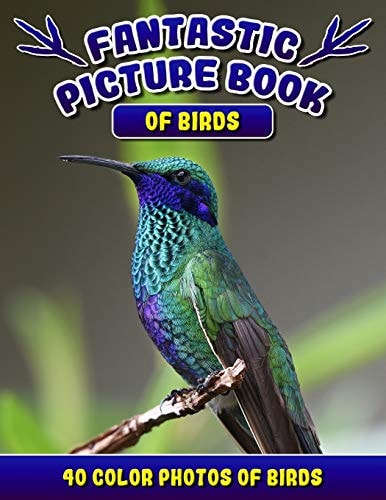 Fantastic Picture Book of Birds. 40 Color Photos of Birds Bird Names Picture Book Gift for Adults with Alzheimer's Or Dementia.