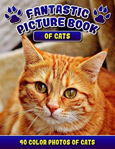 Fantastic Picture Book of Cats. 40 Color Photos of Cats Cat Names Picture Book Gift for Adults and Seniors with Alzheimer's
