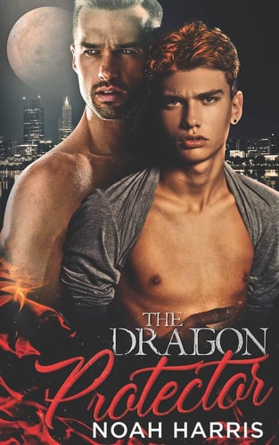 The Dragon Protector A Gay Shifter Romance