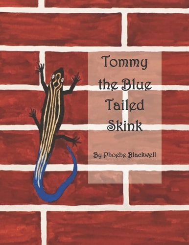 Tommy the Blue Tailed Skink