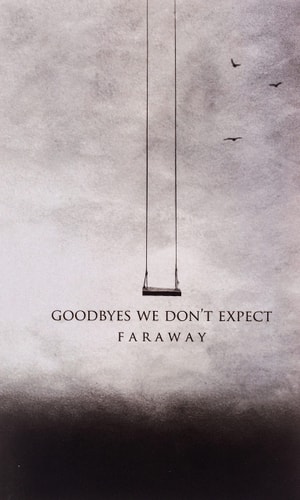 Goodbyes We Don't Expect