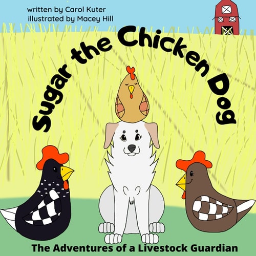 Sugar the Chicken Dog The Adventures of a Livestock Guardian